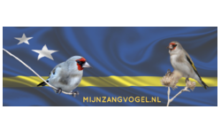 Mijn Zangvogel